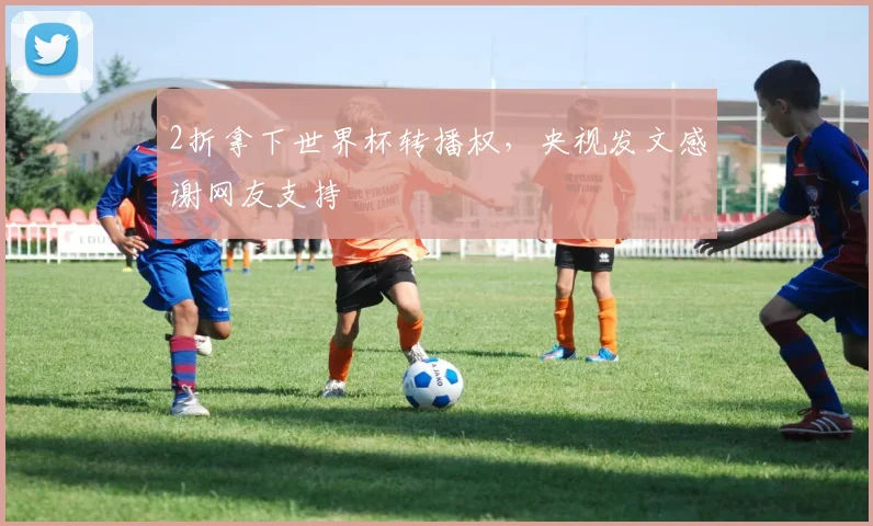 2折拿下世界杯转播权，央视发文感谢网友支持