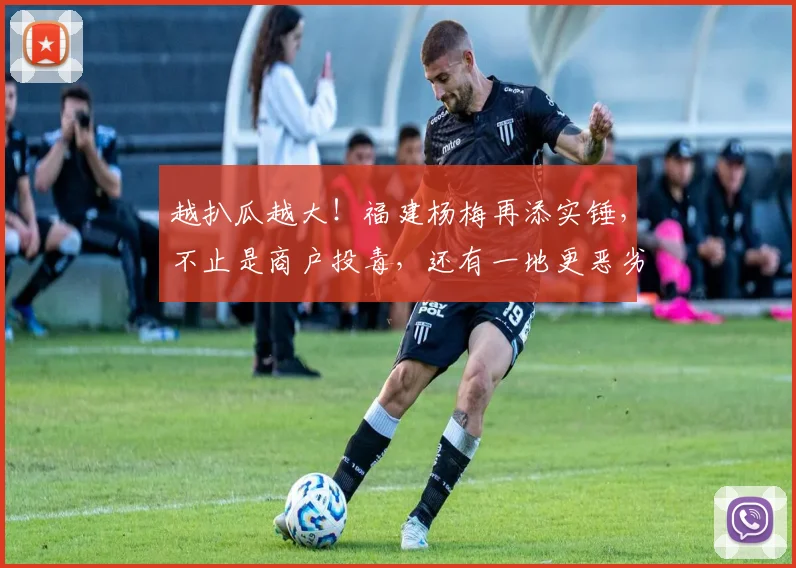 越扒瓜越大！福建杨梅再添实锤，不止是商户投毒，还有一地更恶劣