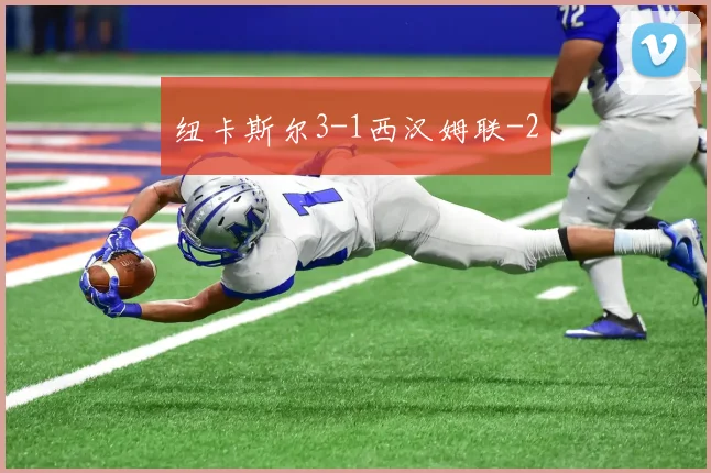 纽卡斯尔3-1西汉姆联