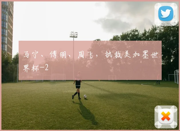 马宁、傅明、周飞，执裁美加墨世界杯