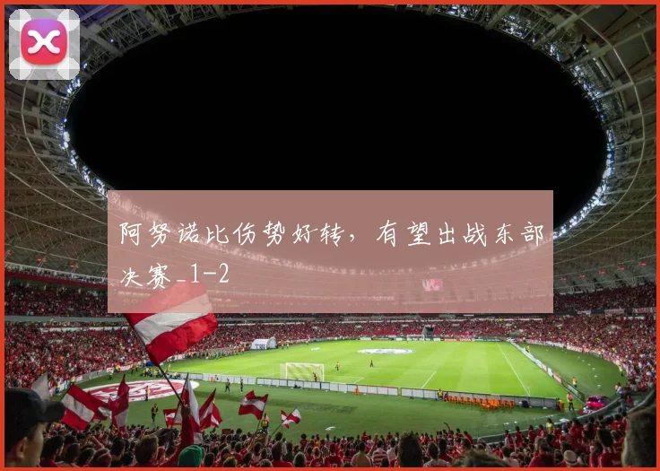 阿努诺比伤势好转，有望出战东部决赛_1