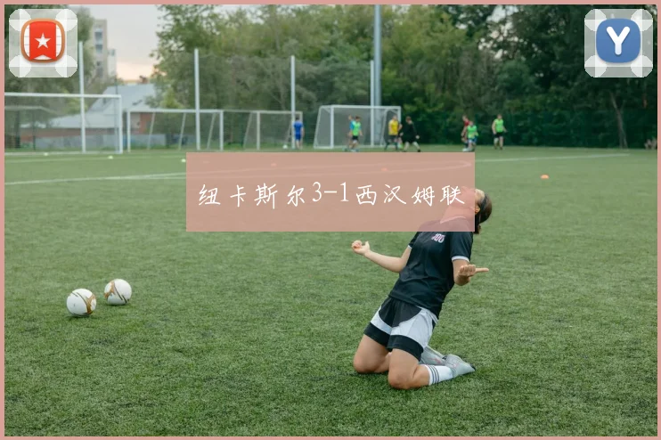 纽卡斯尔3-1西汉姆联