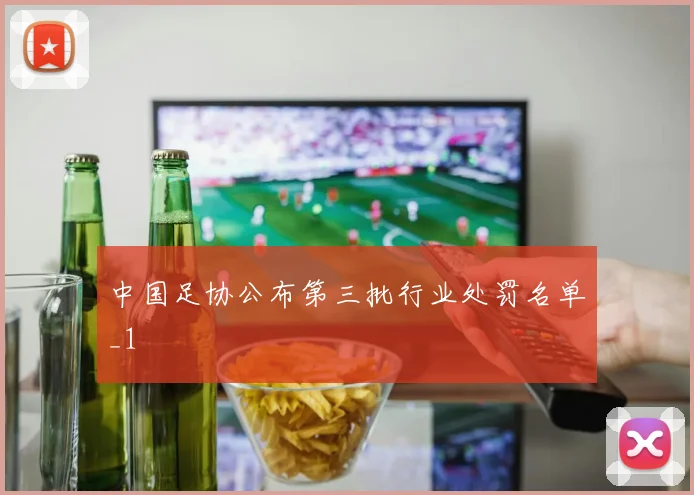 中国足协公布第三批行业处罚名单_1
